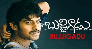 Bujjigadu 2008