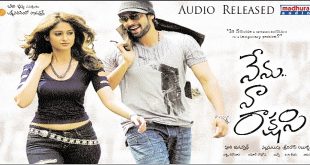 Nenu Na Rakshasi 2011