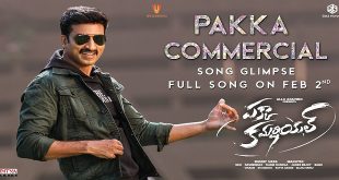 Pakka Commercial 2022