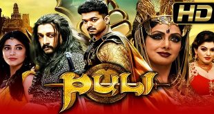 Puli