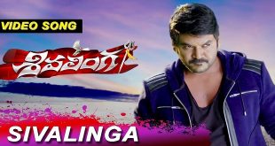 Sivalinga 2017
