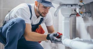 The Importance Of Professional Leak Detection By An Expert Plumber In Five Dock